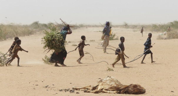 Refugiados ambientais