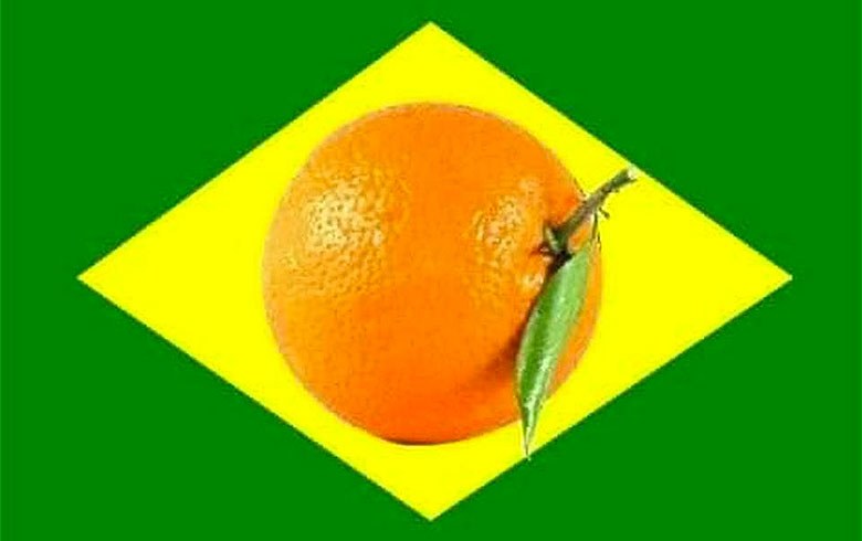 Candidatos laranja na política brasileira. Crédito: Divulgação