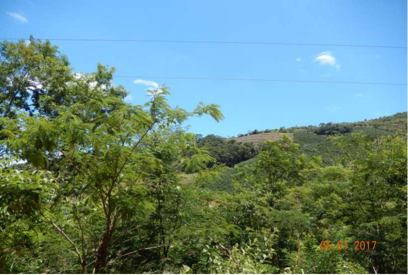 Terreno em Córrego da Onça, Iúna, é o imóvel mais barato do leilão do Bandes. Crédito: Divulgação