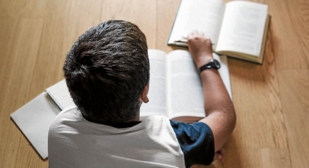 Menino estuda em casa: o Brasil precisa investir em Educação