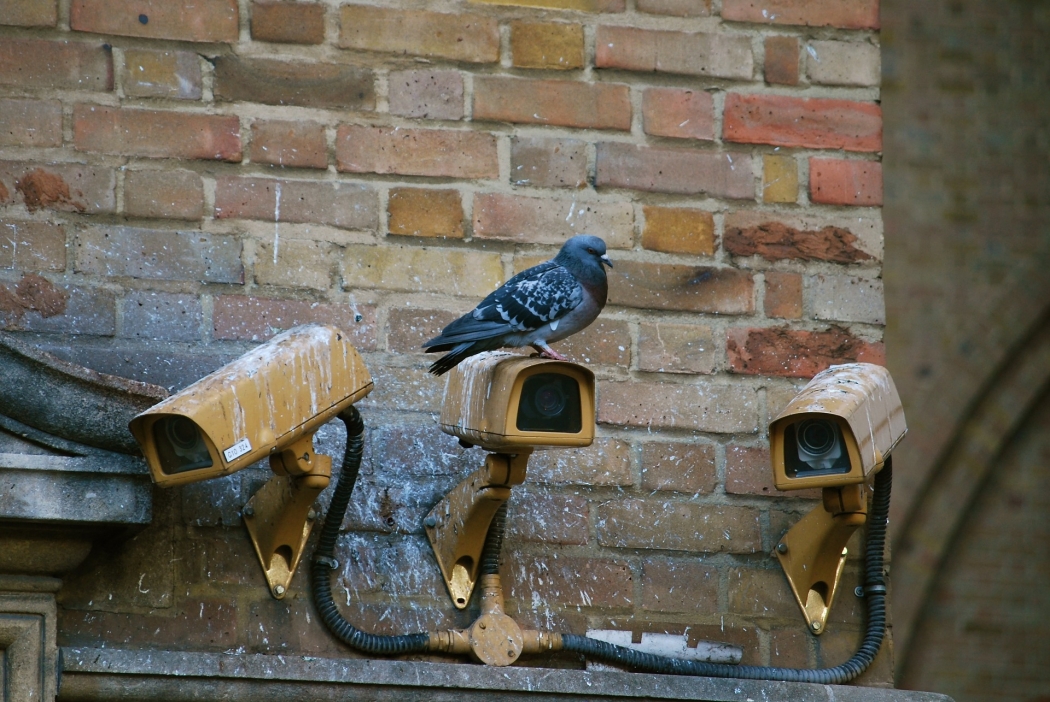 As pessoas são monitoradas em todos os lugares. Crédito: Pixabay
