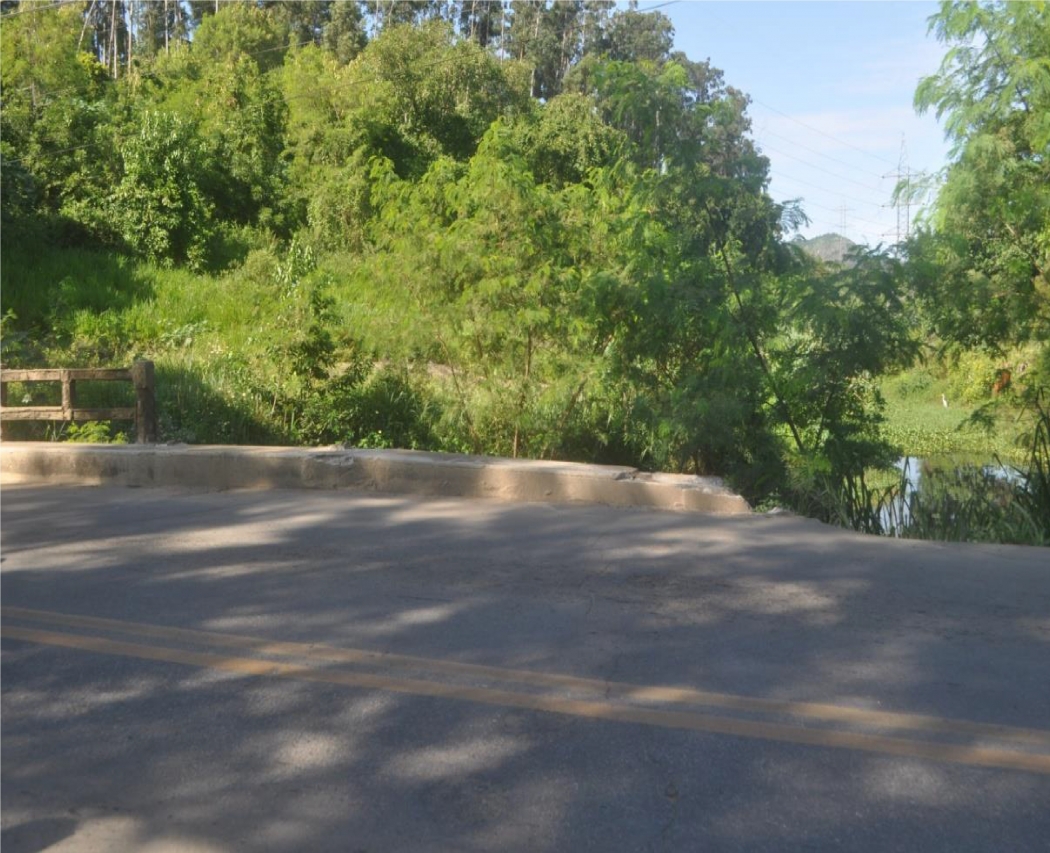 Ponte sobre o Rio Bubu não tem guarda-corpo por toda a extensão. Crédito: Divulgação | Abenc