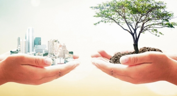 Meio ambiente e desenvolvimento