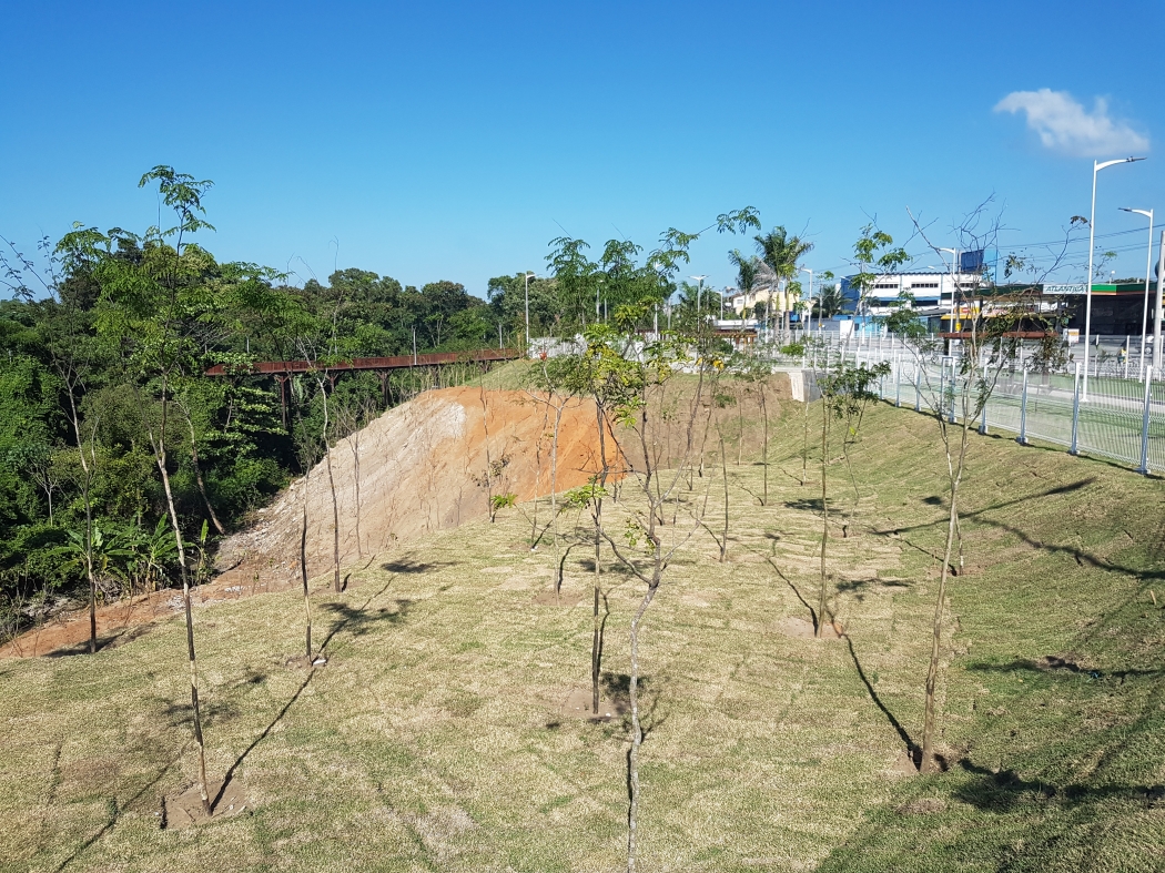 Cerca de 500 árvores nativas foram plantadas para ampliar a arborização no novo espaço. Crédito: José Carlos Schaeffer