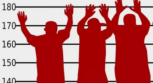 Organização criminosa