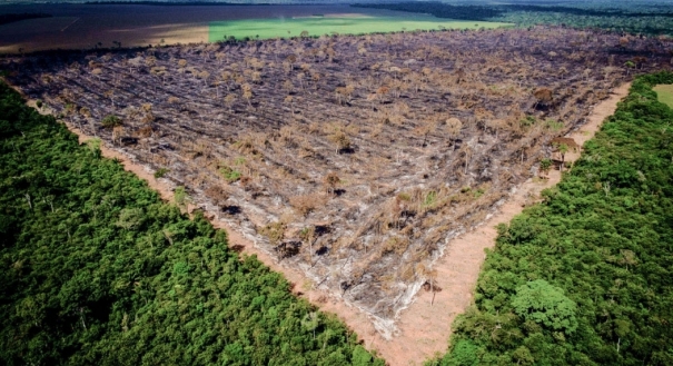 Área de floresta derrubada na região da Bacia Amazônica