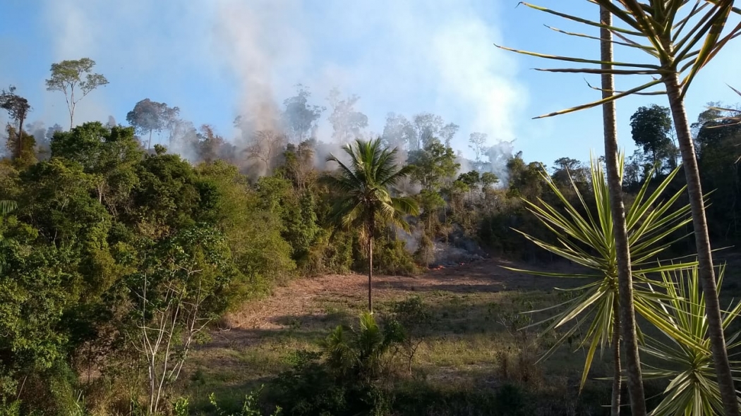Foco de incêndio foi registrado em área de vegetação nativa em Marilândia, no dia 15 de julho deste ano. Crédito: Corpo de Bombeiros