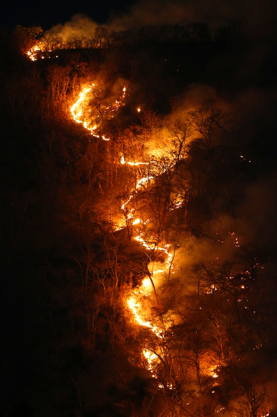 Imagem registrada no dia 17 de agosto de 2019 mostra um incêndio de grandes proporções na região de cerrado do município de Palmeiropólis, no Tocantins. Crédito: DIDA SAMPAIO
