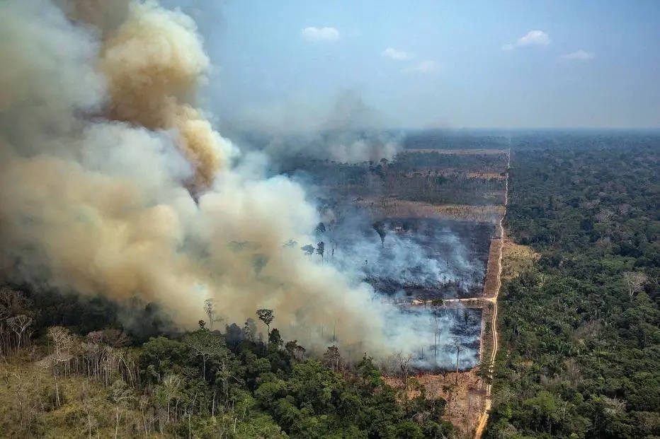 G7 quer ajudar Brasil e outros países atingidos por incêndios na Amazônia |  A Gazeta