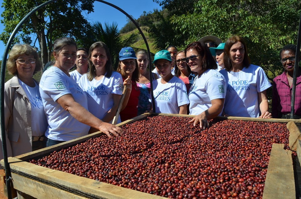 Grupo de mulheres cafeicultoras do Sul do Estado deu origem ao "Póde Mulheres'. Crédito: Divulgação/ Incaper